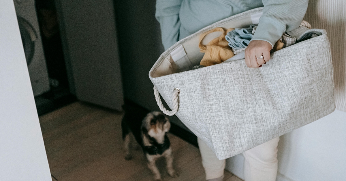 Háztartási trendek